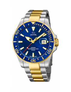 Jaguar J863/C Executive