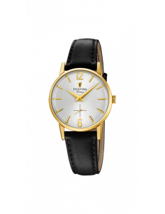 Festina Extra F20255/1